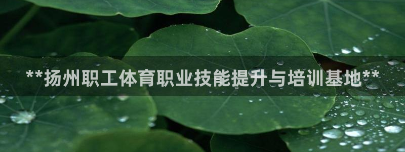 富联是什么软件：**扬州职工体育职业技能提升与培训基