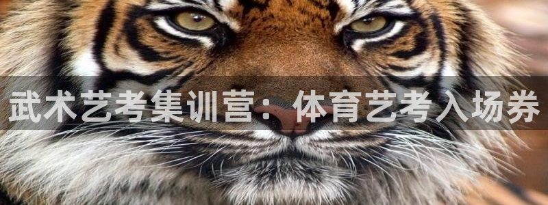 富联平台登录注册不了：武术艺考集训营：体育艺考入场券