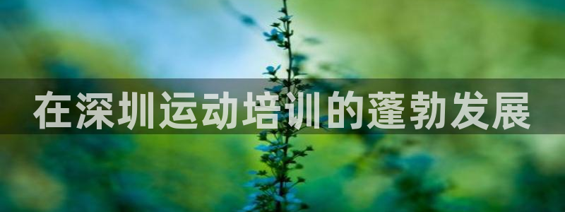 富联娱乐在线注册链接是什么：在深圳运动培训的蓬勃发展
