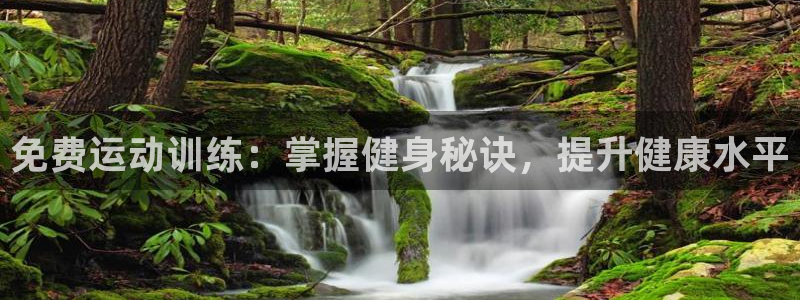 富联官网登录：免费运动训练：掌握健身秘诀，提升健康水
