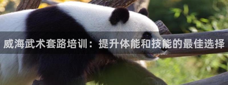 富联股份：威海武术套路培训：提升体能和技能的最佳选择