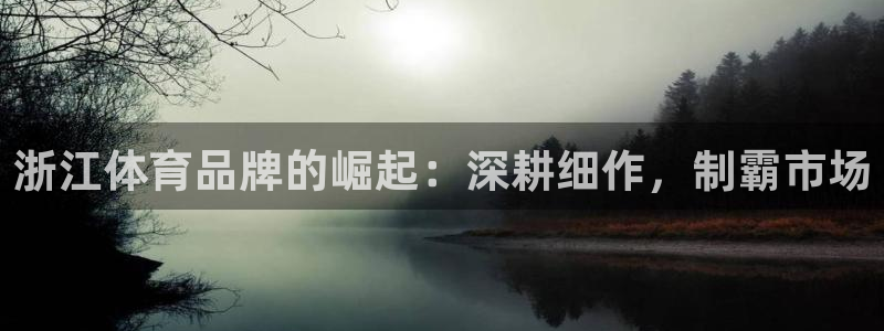 富联集团做什么的呀：浙江体育品牌的崛起：深耕细作，制