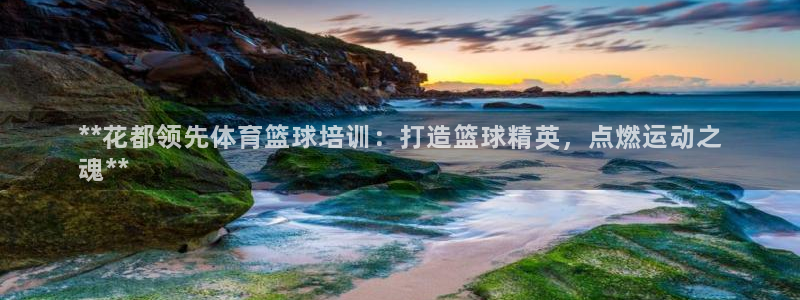 富联平台线路检测中心电话：**花都领先体育篮球培训：