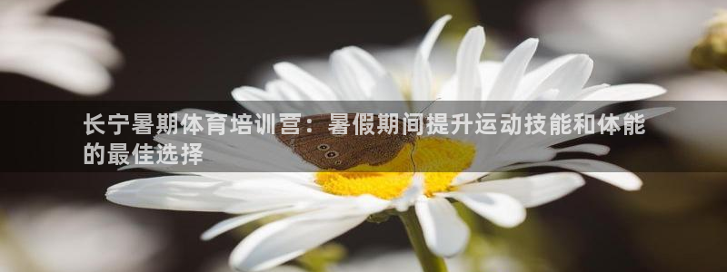 富联股份代码是多少：长宁暑期体育培训营：暑假期间提升