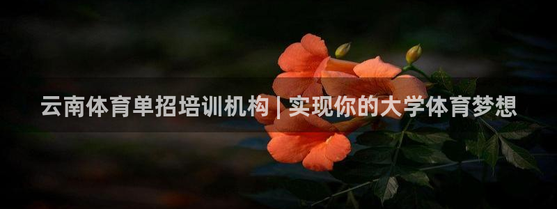 富联娱乐革7O777：云南体育单招培训机构 | 实现