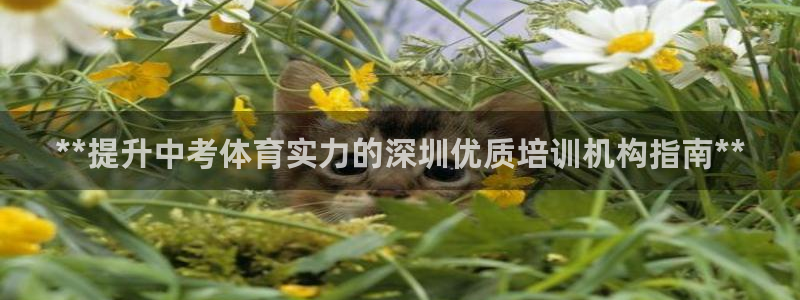 富联娱乐平台怎么样啊：**提升中考体育实力的深圳优质