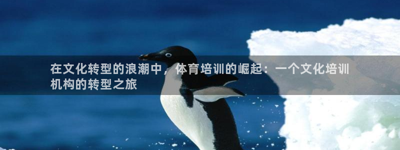 富联申购上市价格预测最新：在文化转型的浪潮中，体育培