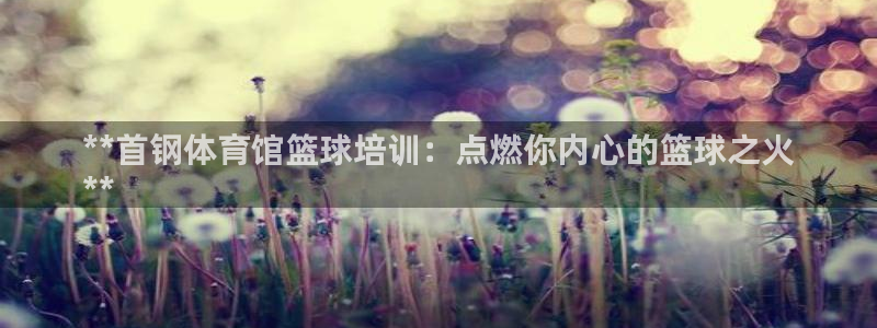 富联娱乐测速软件下载：**首钢体育馆篮球培训：点燃你