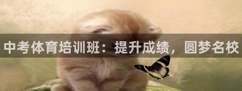 富联娱乐会员多少钱：中考体育培训班：提升成绩，圆梦名