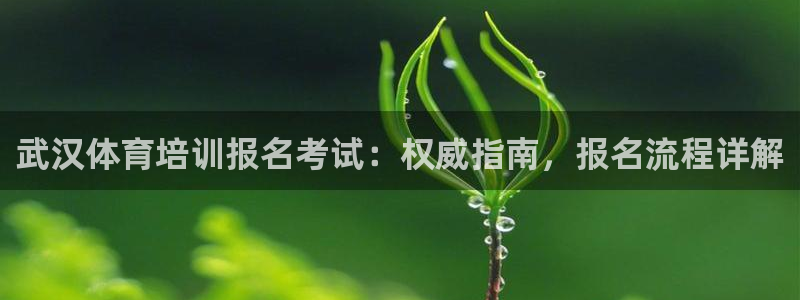 富联娱乐访问：武汉体育培训报名考试：权威指南，报名流