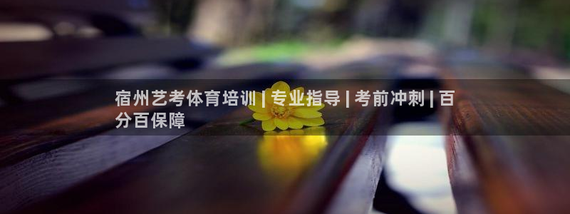 富联娱乐客户端app下载服务器错误：宿州艺考体育培训