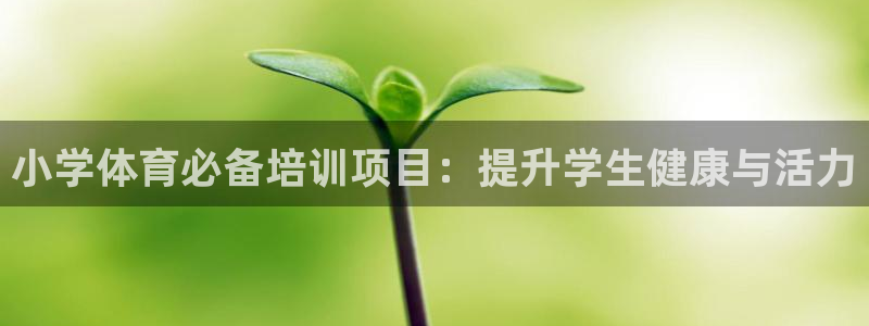 富联平台容7O777：小学体育必备培训项目：提升学生