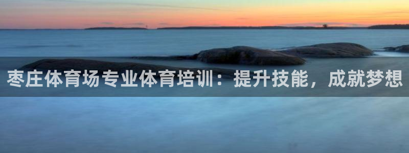 富联娱乐平台是什么：枣庄体育场专业体育培训：提升技能