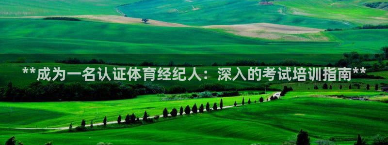 富联智能：**成为一名认证体育经纪人：深入的考试培训