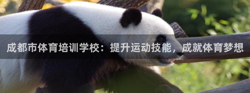 富联申购上市价格预测最新：成都市体育培训学校：提升运