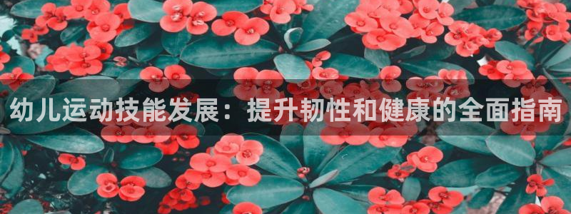 富联平台目 411O31 富联：幼儿运动技能发展：提