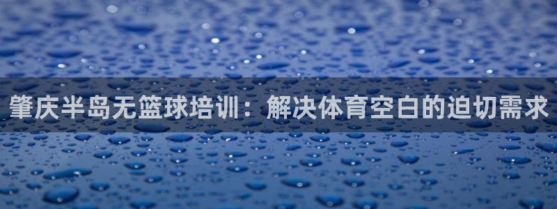 富联官网注册不了账号：肇庆半岛无篮球培训：解决体育空