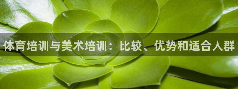富联平台搜索 585.34I 平台：体育培训与美术培
