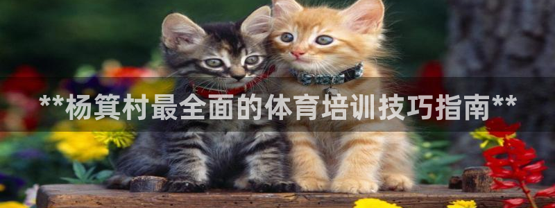 富联娱乐平台怎么样知乎：**杨箕村最全面的体育培训技