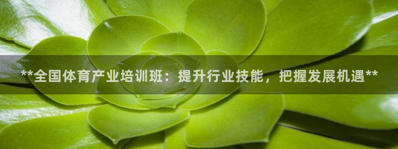 富联平台登录网址：**全国体育产业培训班：提升行业技