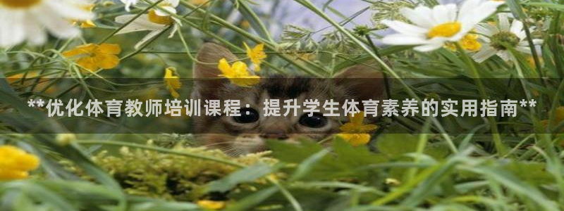 富联平台注册登录入口：**优化体育教师培训课程：提升