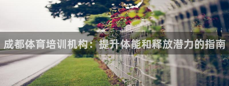 富联机器人产业研发基地：成都体育培训机构：提升体能和