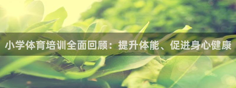 富联娱乐测速app：小学体育培训全面回顾：提升体能、