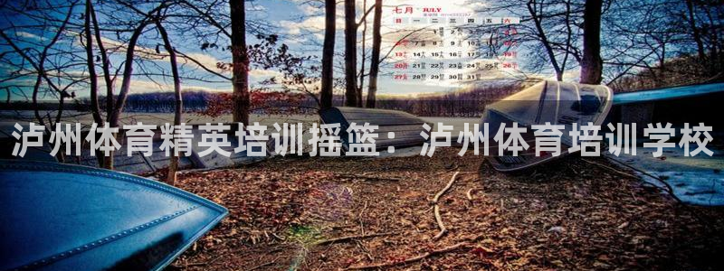 富联平台是什么平台：泸州体育精英培训摇篮：泸州体育培