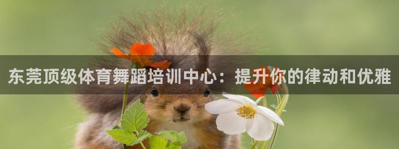 富联娱乐平台开户要钱吗：东莞顶级体育舞蹈培训中心：提