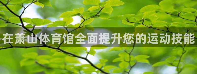 富联官方网站首页登录入口：在萧山体育馆全面提升您的运