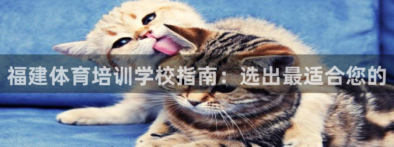 富联娱乐老板叫什么：福建体育培训学校指南：选出最适合