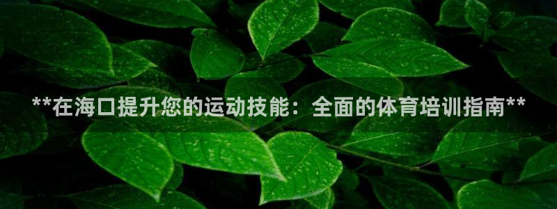 富联平台注册登录入口：**在海口提升您的运动技能：全
