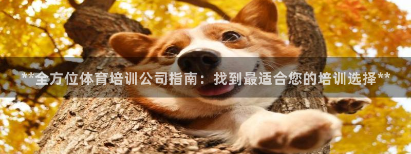 富联娱乐平台开户条件要求：**全方位体育培训公司指南
