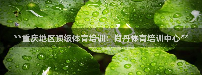 富联官方网站首页入口：**重庆地区顶级体育培训：尚丹