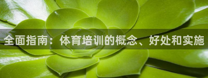 富联平台线路检测中心电话：全面指南：体育培训的概念、