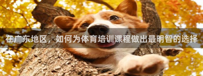 富联娱乐正规吗：在广东地区，如何为体育培训课程做出最