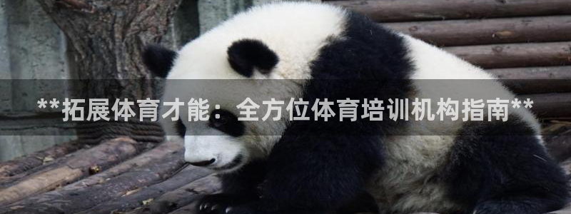 富联娱乐马 411O31 娱乐：**拓展体育才能：全