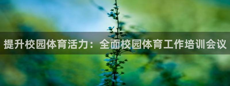 富联官方网站入口查询电话：提升校园体育活力：全面校园