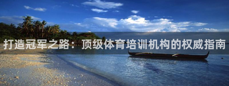富联集团最新消息：打造冠军之路：顶级体育培训机构的权