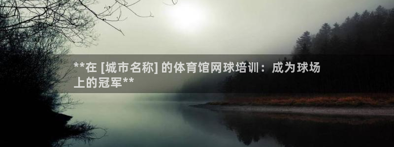 富联娱乐客服微信：**在 [城市名称] 的体育馆网球