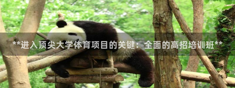 富联娱乐平台开户流程及时间：**进入顶尖大学体育项目