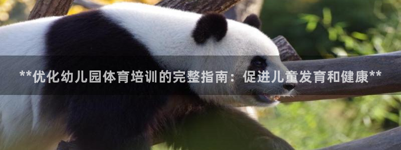 富联商厦：**优化幼儿园体育培训的完整指南：促进儿童
