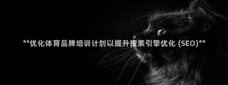 富联娱乐会员：**优化体育品牌培训计划以提升搜索引擎