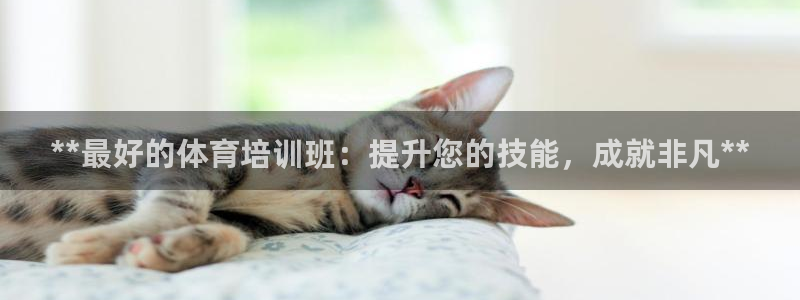 富联集团做什么的：**最好的体育培训班：提升您的技能