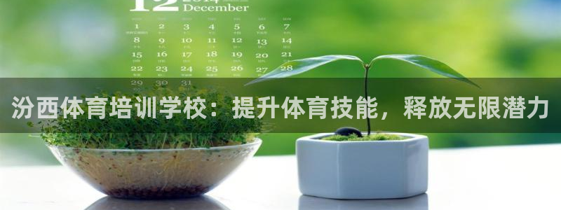 富联是什么板块：汾西体育培训学校：提升体育技能，释放