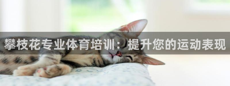 富联集团最新消息今天：攀枝花专业体育培训：提升您的运