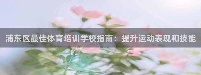 富联娱乐服务站电话：浦东区最佳体育培训学校指南：提升