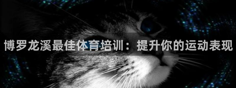 富联平台网站：博罗龙溪最佳体育培训：提升你的运动表现