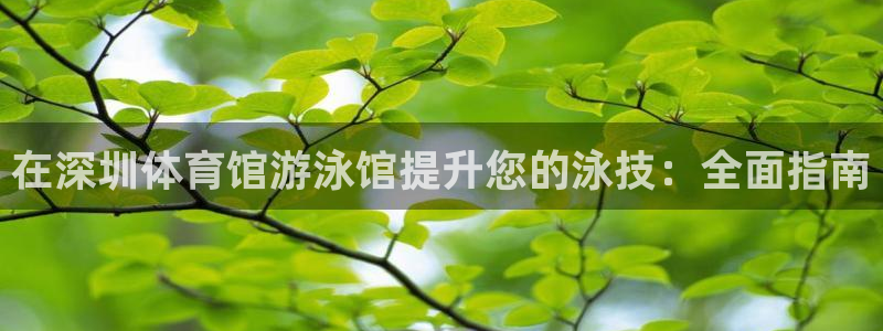 富联集团最新消息新闻：在深圳体育馆游泳馆提升您的泳技
