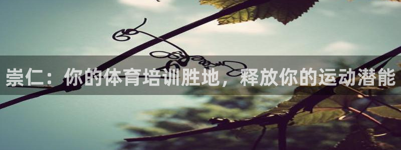 富联娱乐官方网站首页：崇仁：你的体育培训胜地，释放你